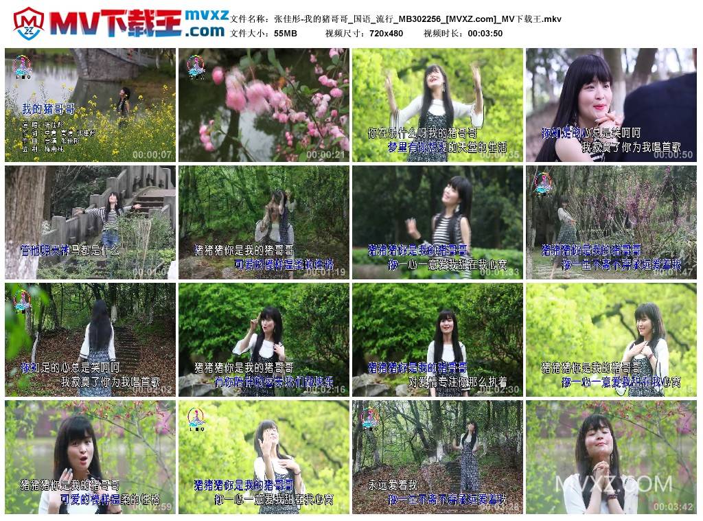 张佳彤-我的猪哥哥_国语_流行_MB302256